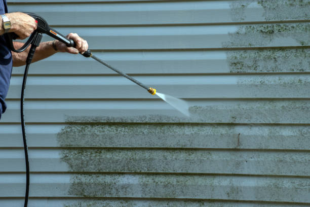 Best Sidewalk and Walkway Cleaning  in Oyster Creek, TX
